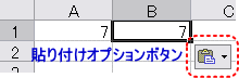 貼り付けオプションボタン